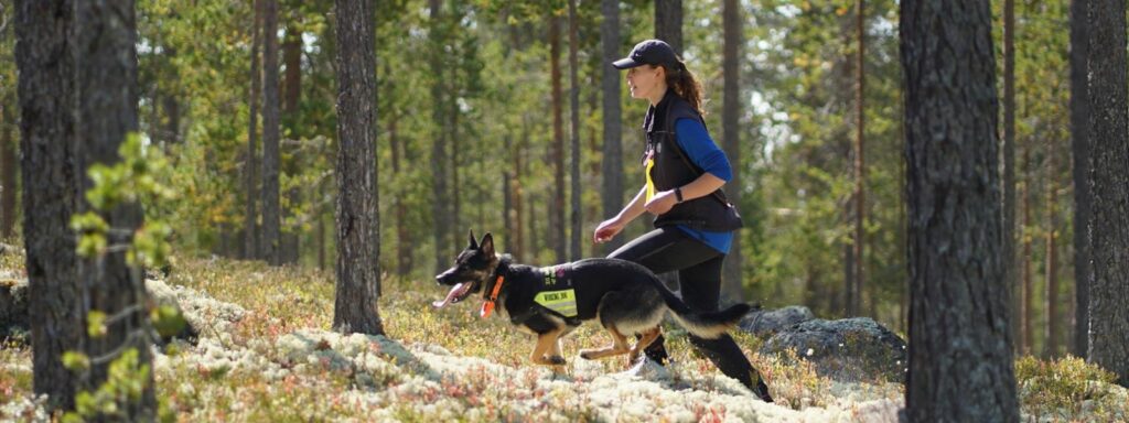 Veterinærens tips til førstehjelpsskrin